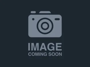 Golden Toad screenshot